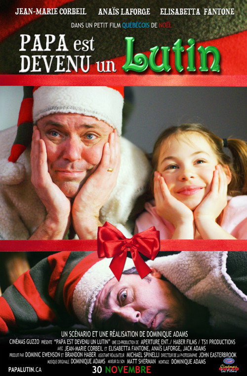 Papa est devenu un lutin — постер