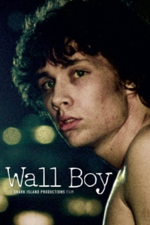 Wall Boy — постер