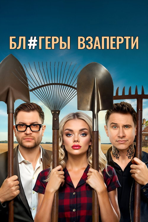 Блогеры взаперти — постер