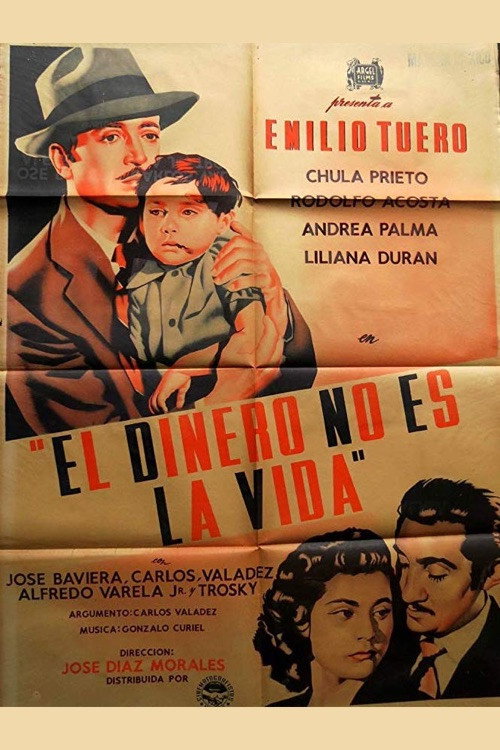 El dinero no es la vida — постер