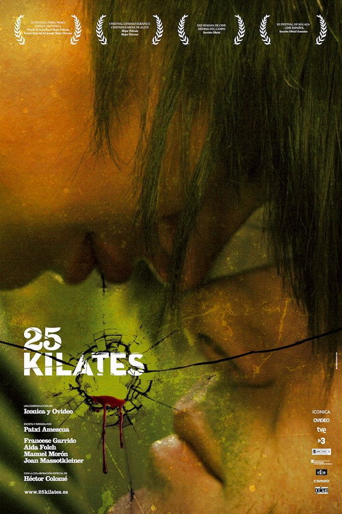 25 каратов — постер