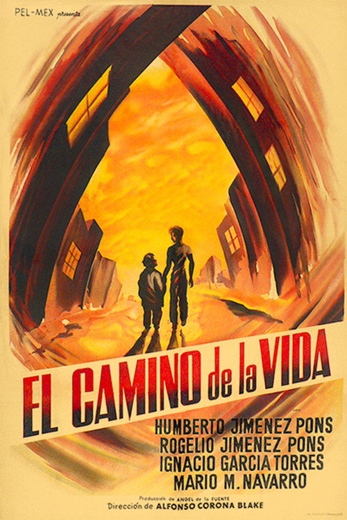El Camino de la Vida — постер