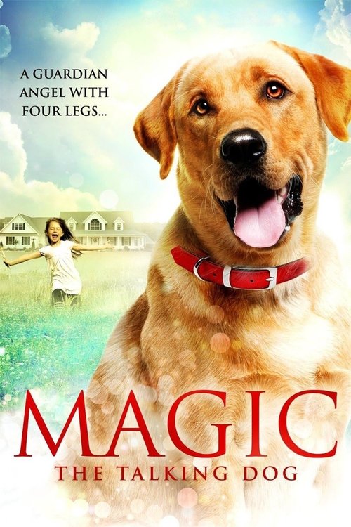 Magic — постер
