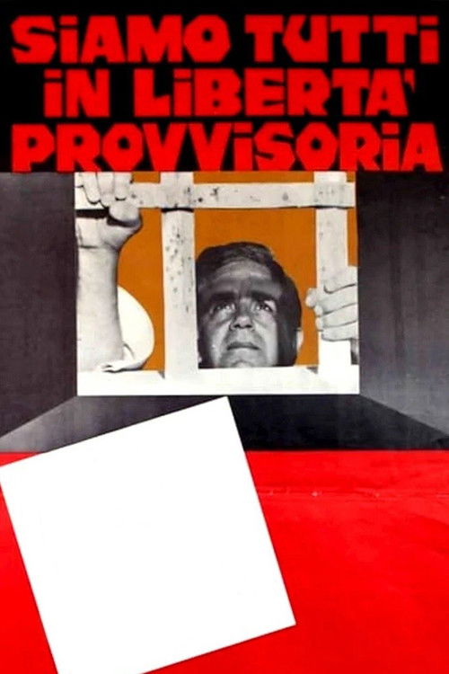Siamo tutti in libertà provvisoria — постер