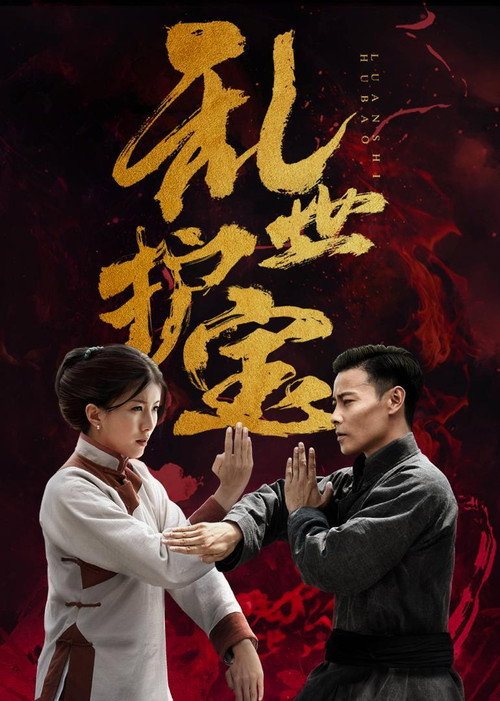 亂世護寶 — постер