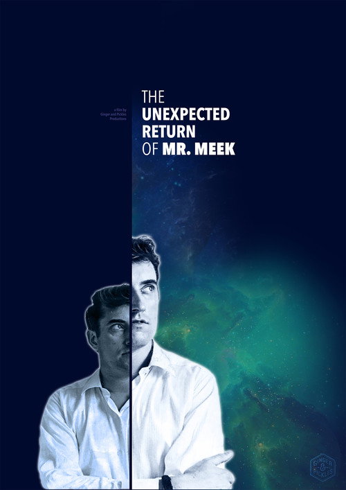 The Unexpected Return of Mr. Meek — постер