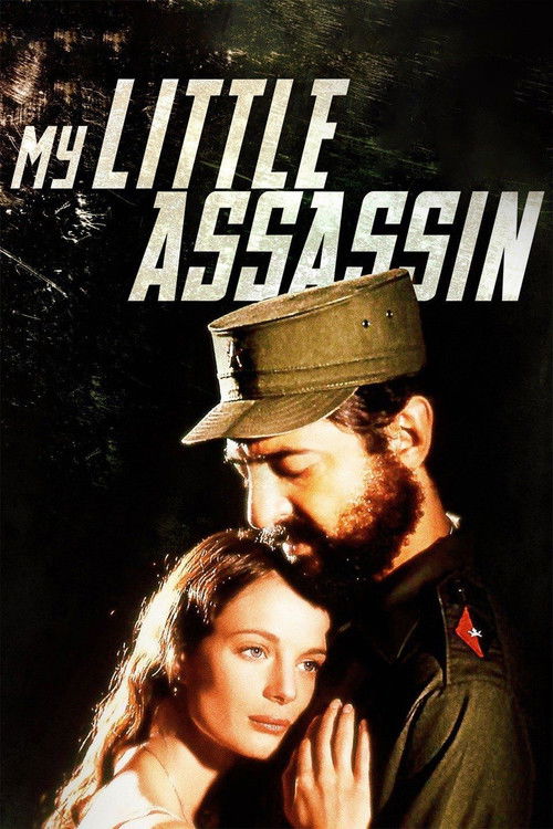 My Little Assassin — постер