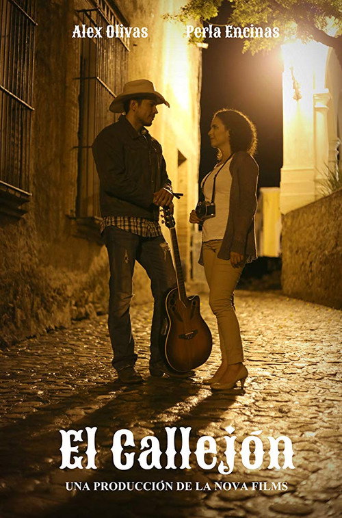 El callejón — постер