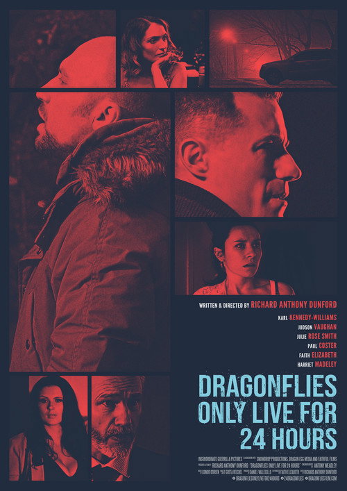 Dragonfiles Only Live for 24 Hours — постер