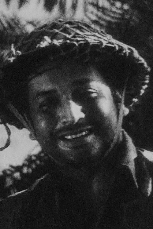দুর্বার গতি পদ্মা — постер
