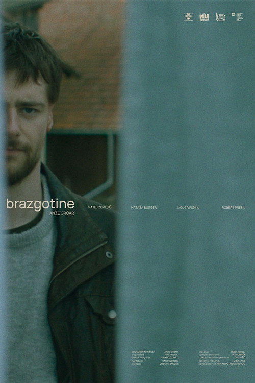Brazgotine — постер