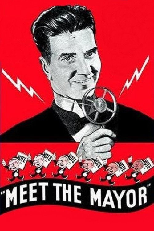 A Fool's Advice — постер