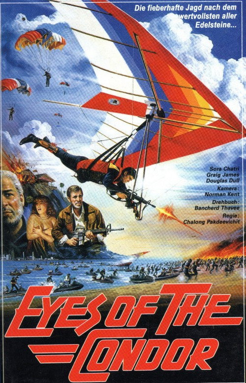Eyes of the Condor — постер