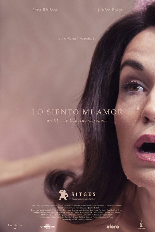 Lo siento mi amor — постер