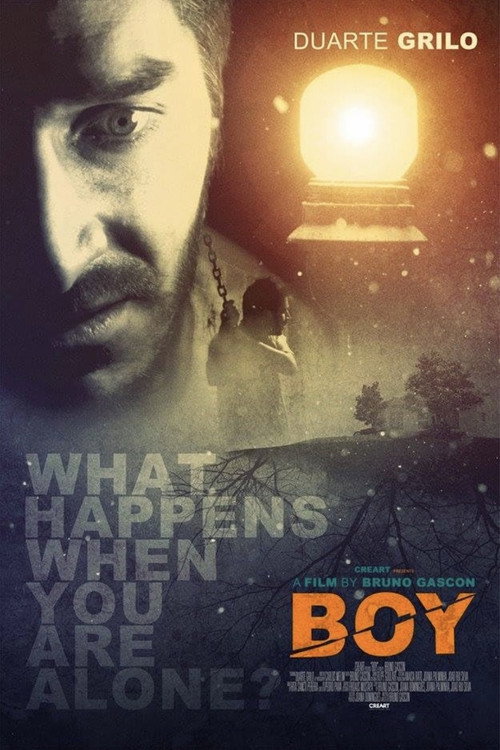 Boy — постер