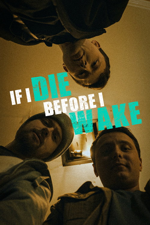 If I Die Before I Wake — постер
