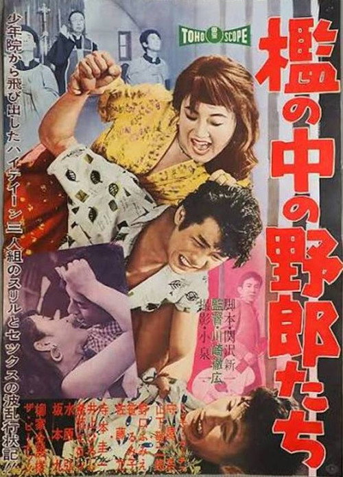 檻の中の野郎たち — постер