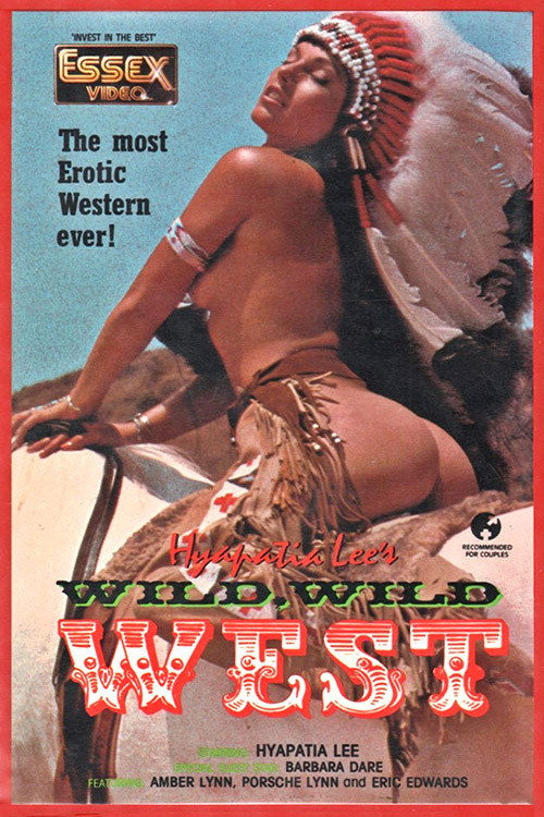 The Wild, Wild West — постер