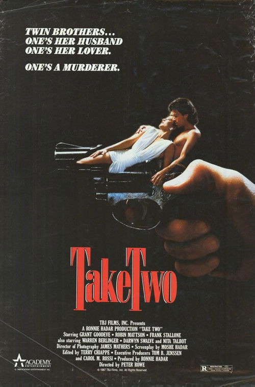 Take Two — постер