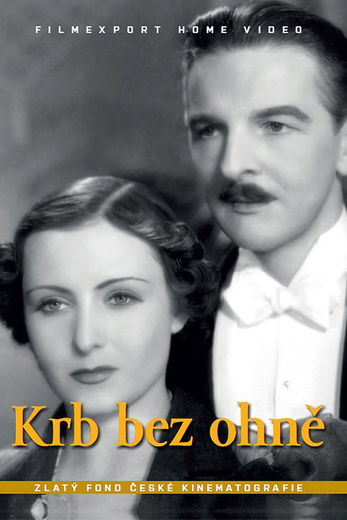 Krb bez ohně — постер