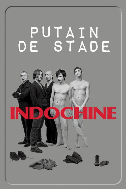 Indochine - Putain de stade — постер