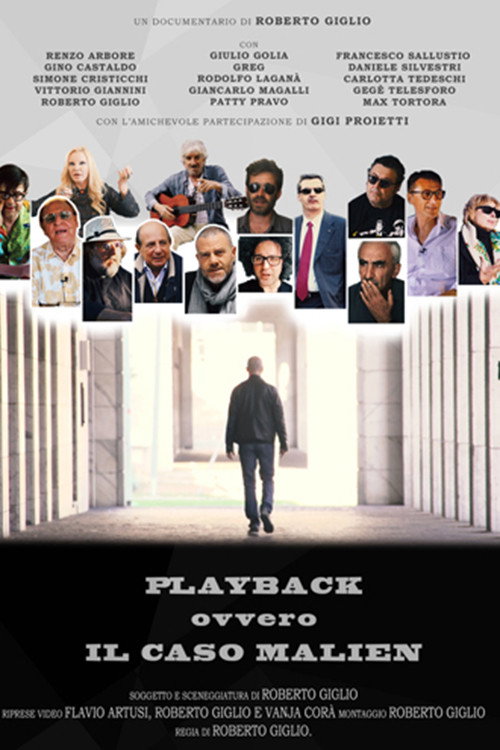 Playback - Il caso Malien — постер