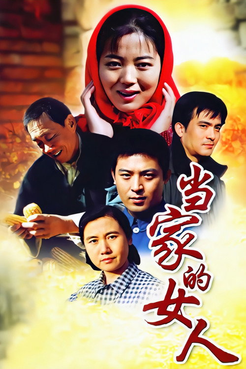 当家的女人 — постер