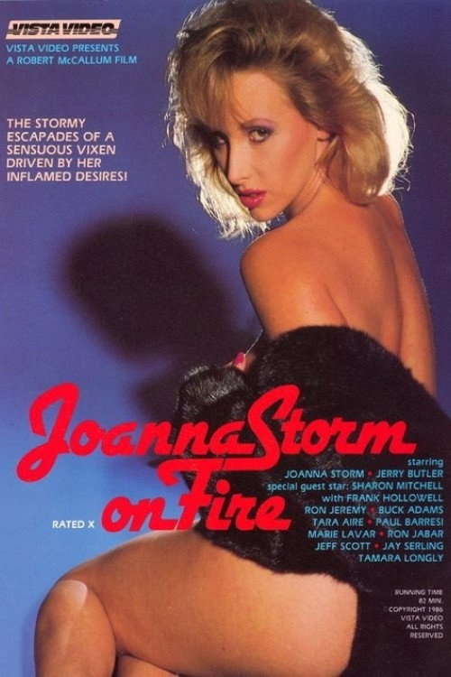 Joanna Storm on Fire — постер