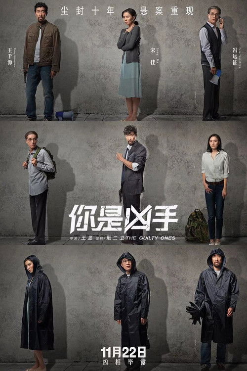 你是凶手 — постер