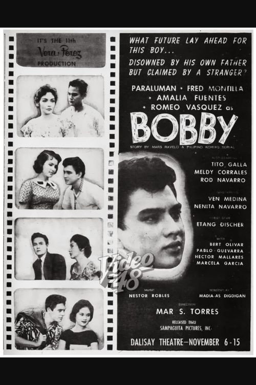 Bobby — постер