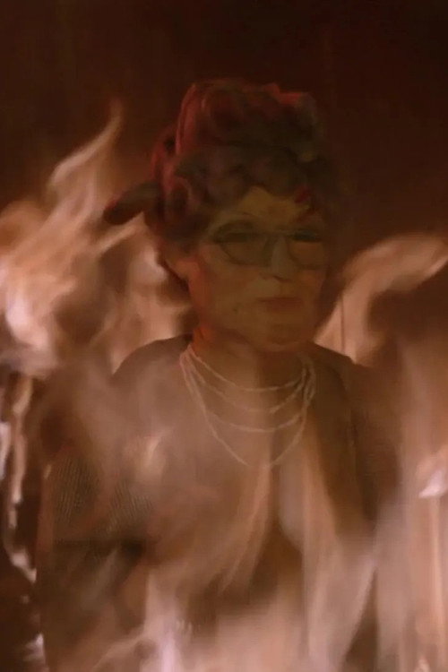Thunderbirds: The Duchess Assignment — постер