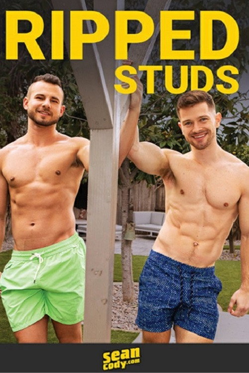Ripped Studs — постер