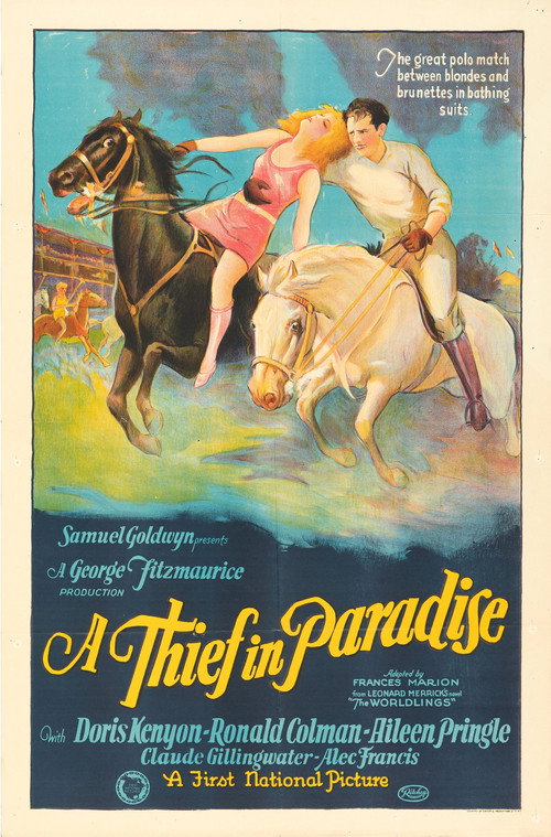 A Thief in Paradise — постер
