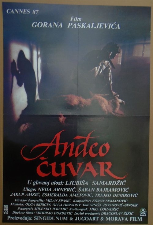 Anđeo čuvar — постер