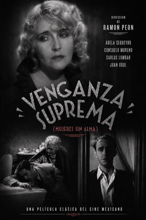 Venganza suprema — постер