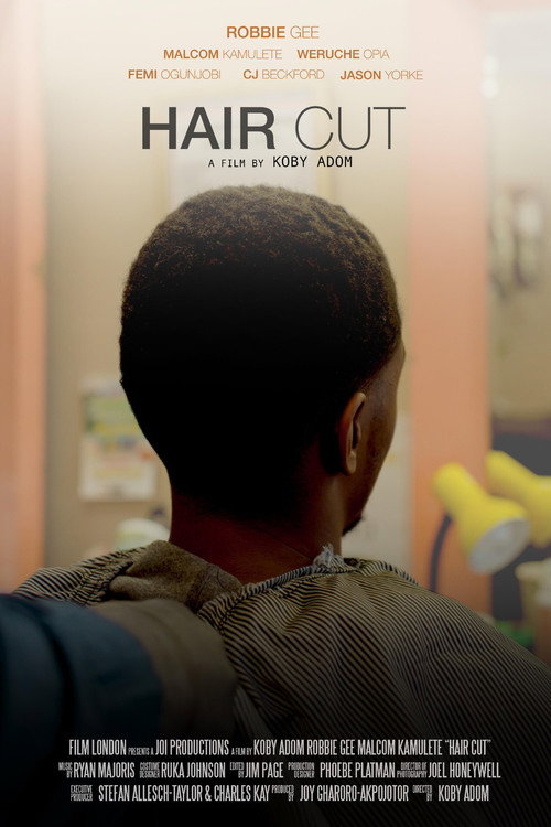 Haircut — постер