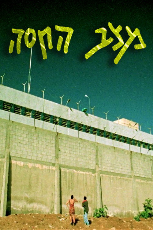 מצב החסה — постер
