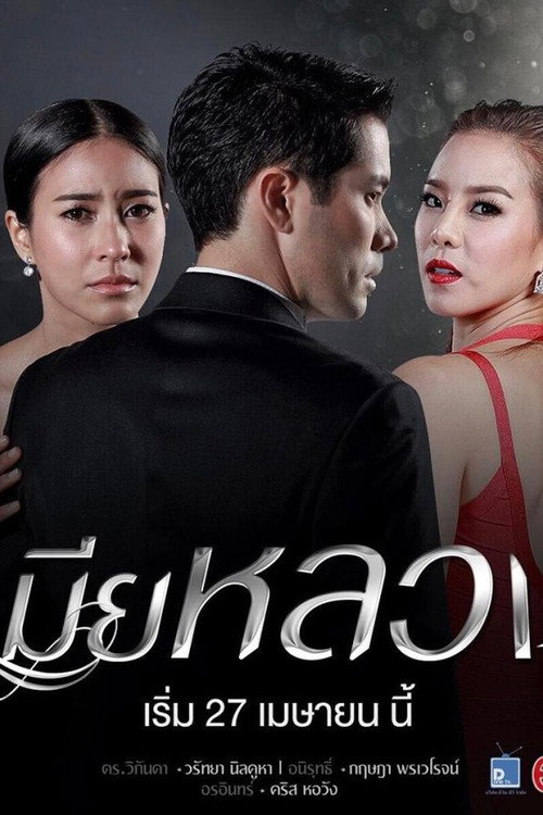 เมียหลวง — постер