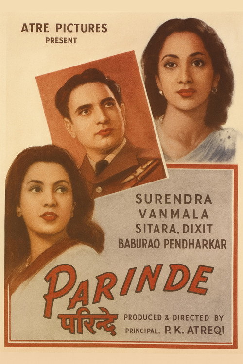 Parinde — постер