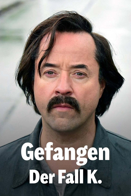 Gefangen: Der Fall K. — постер