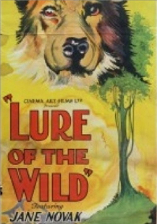 The Lure of the Wild — постер