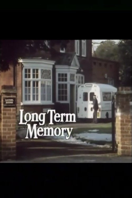 Long Term Memory — постер