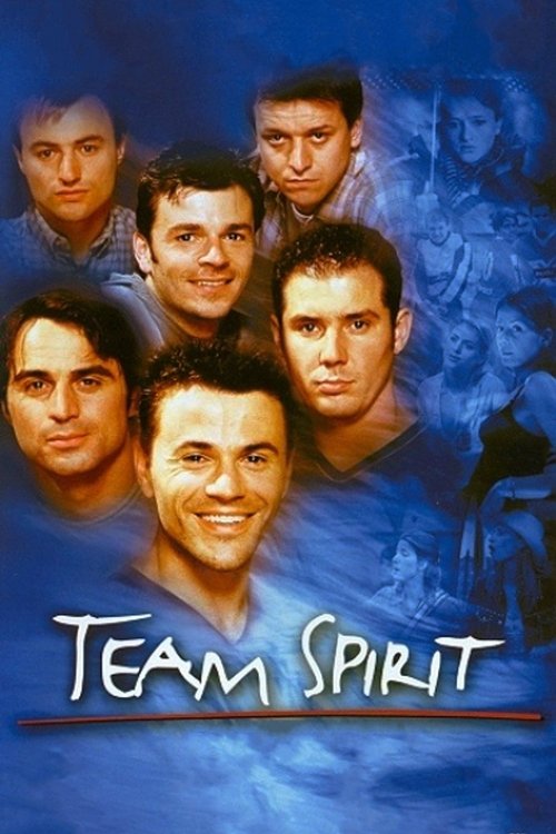 Team Spirit — постер