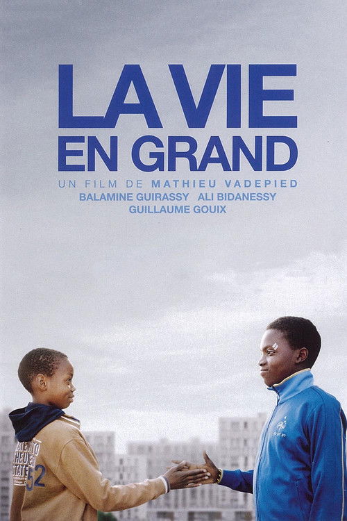 La Vie en grand — постер