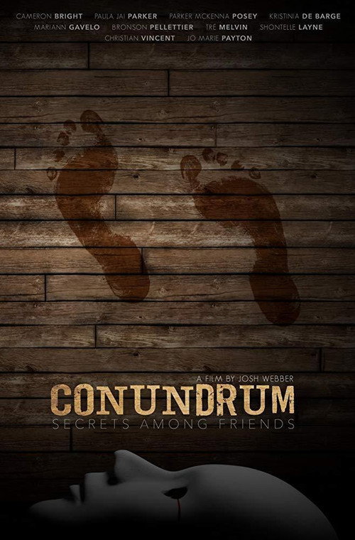 Conundrum: Secrets Among Friends — постер