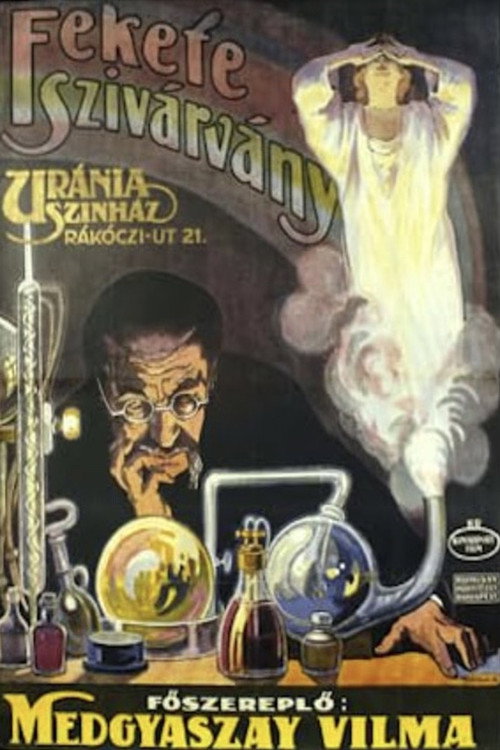 A fekete szivárvány — постер