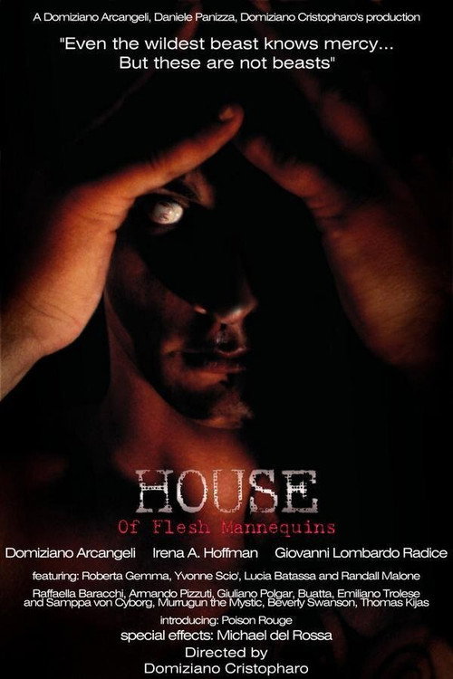 House of Flesh Mannequins — постер