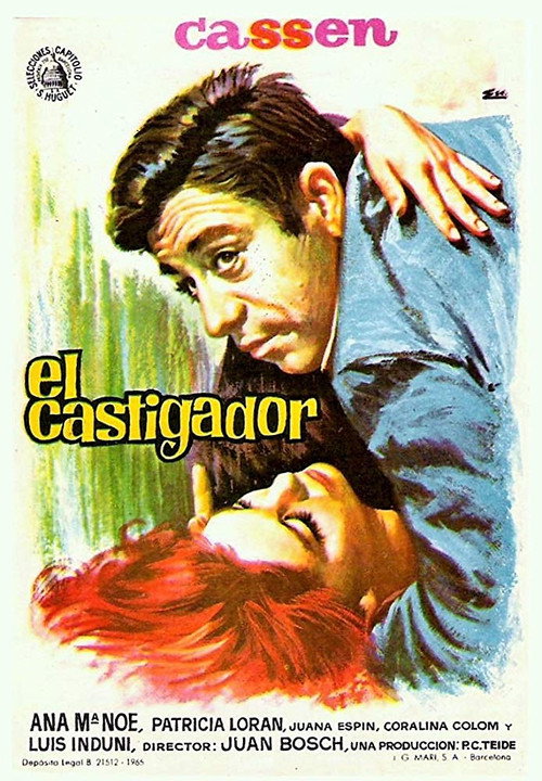 El castigador — постер