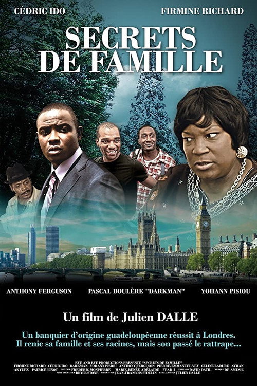 Secrets de famille — постер