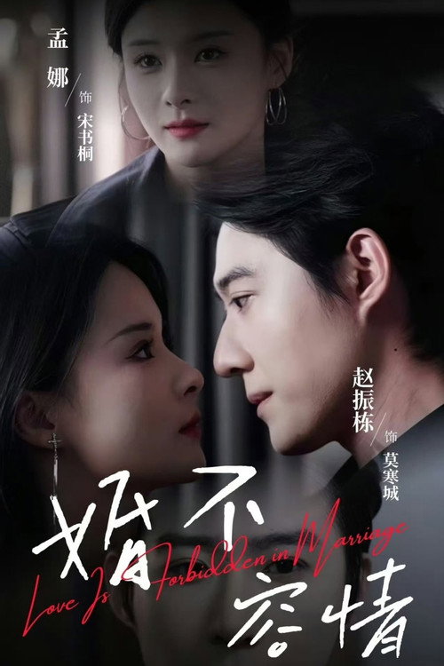 婚不容情 — постер